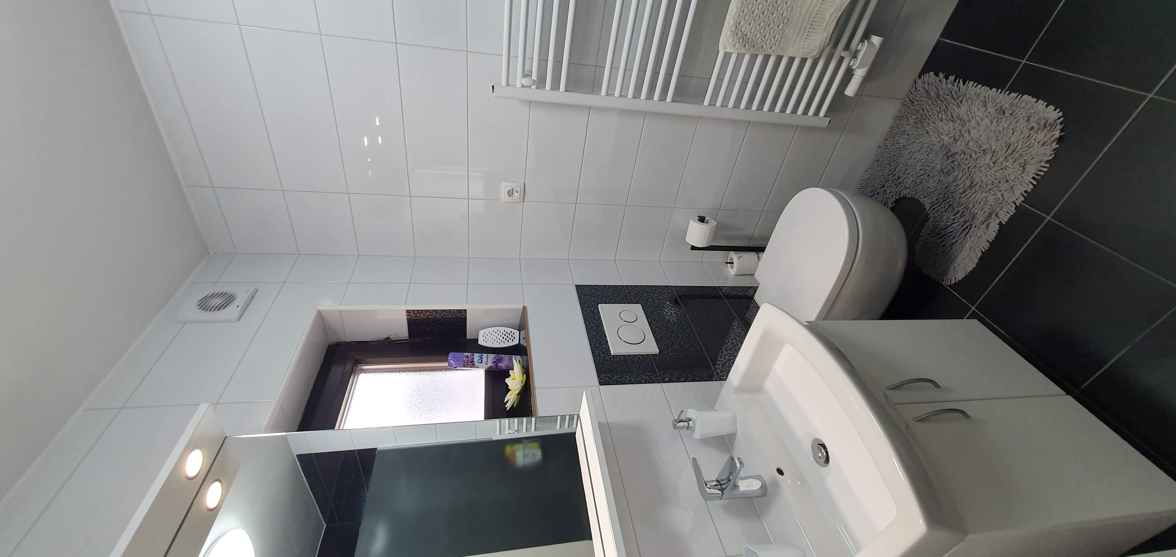Second bathroom with toilet and washbasin
